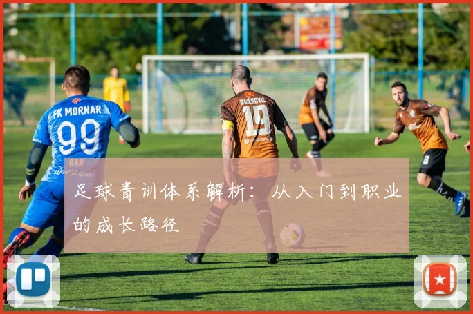 足球青训体系解析：从入门到职业的成长路径
