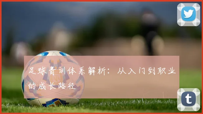 足球青训体系解析：从入门到职业的成长路径