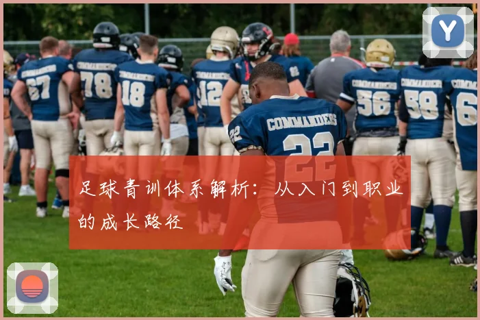 足球青训体系解析：从入门到职业的成长路径